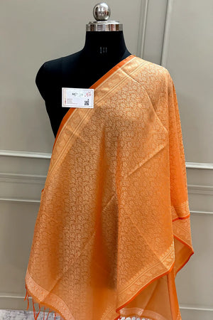 Orange Resham Zari Silk Banarasi Stole