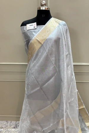 Silver Ambose Tissue Silk Banarasi Saree
