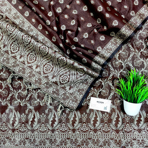 Brown Surahi Jaal Cotton Silk Banarasi Suit
