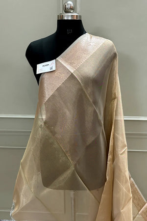 Cooper Golden Zari Tissue Silk Banarasi Saree