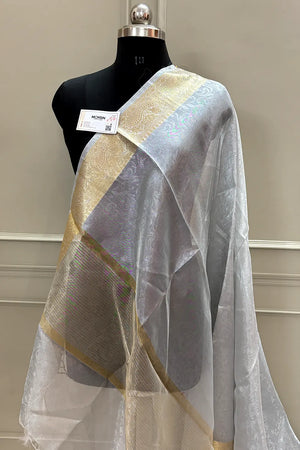 Silver Ambose Tissue Silk Banarasi Saree
