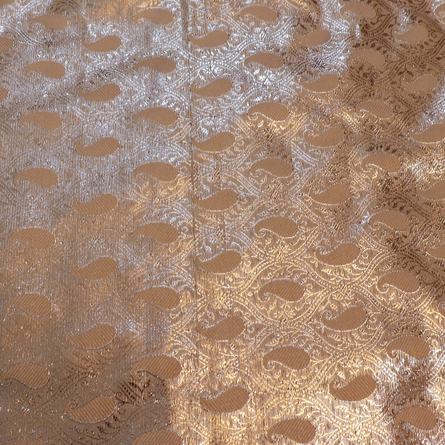 Beige Paisley Lorex and Resham Work Fabric