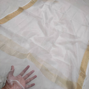 White Zari Border Organza Silk Banarasi Dupatta