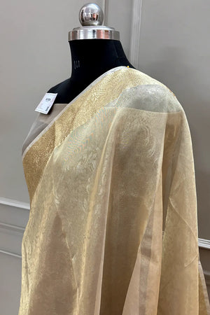 Golden Ambose Tissue Silk Banarasi Saree