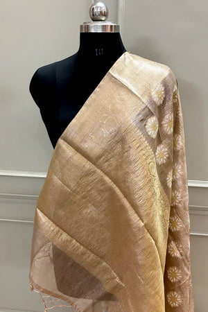 Copper Golden Zari Crush Tissue Silk Banarasi Saree