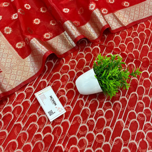 Red Cactus Jaal Organza Silk Banarasi Suit