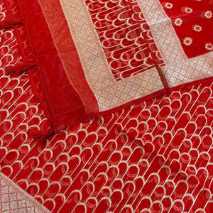 Red Cactus Jaal Organza Silk Banarasi Suit