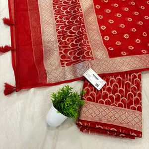 Red Cactus Jaal Organza Silk Banarasi Suit