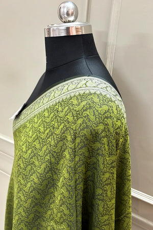 Mehendi Resham Zari Silk Banarasi Stole