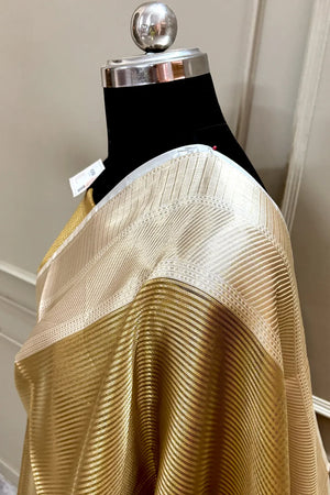 Rani Mukherjee Gold Tissue Silk Banarasi Saree