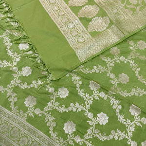 Pista Kashmiri Jaal Katan Silk Banarasi Suit