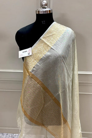 White Ambose Tissue Silk Banarasi Saree