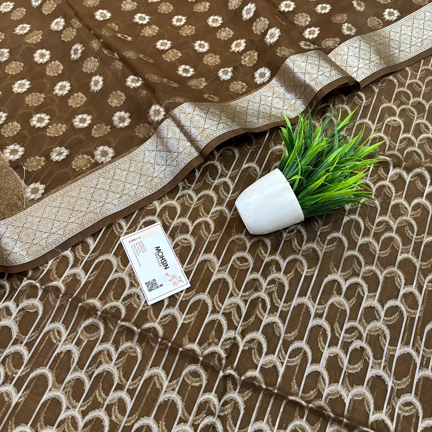 Brown Cactus Jaal Organza Silk Banarasi Suit