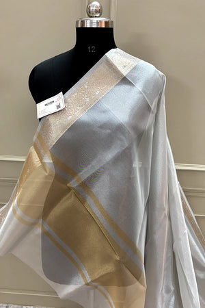 Grey Golden Zari Tissue Silk Banarasi Saree