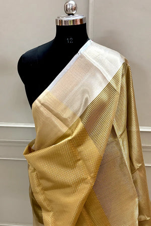 Rani Mukherjee Gold Tissue Silk Banarasi Saree