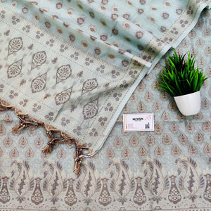 Mint Green Surahi Buti Cotton Silk Banarasi Suit