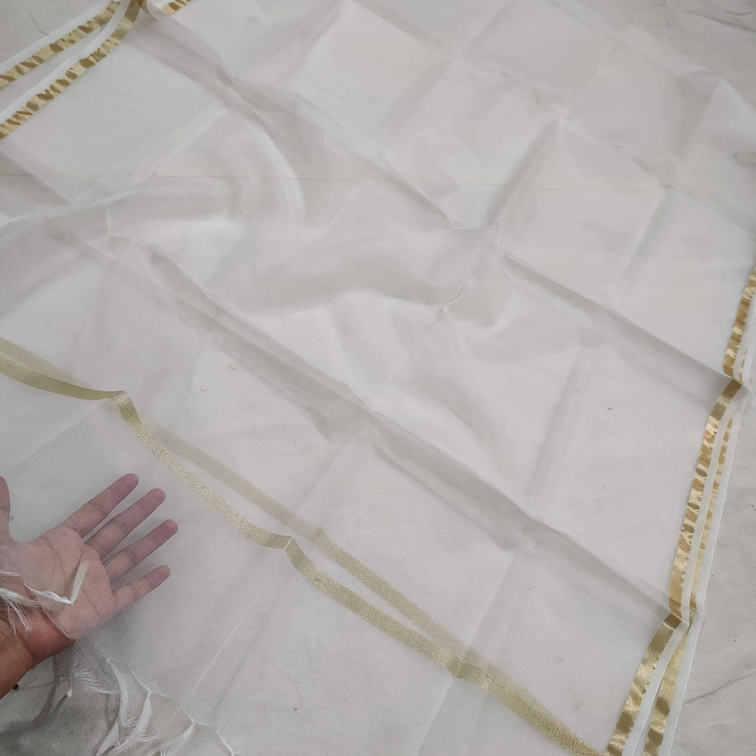 White Chota Border Organza Silk Banarasi Dupatta