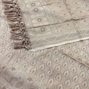 Beige Kacchi Carry Patta Cotton Silk Banarasi Suit