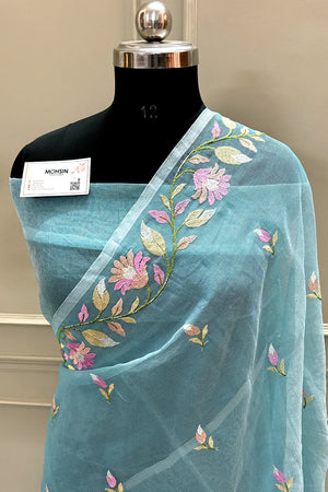 Firozi Embroidery Net Banarasi Saree