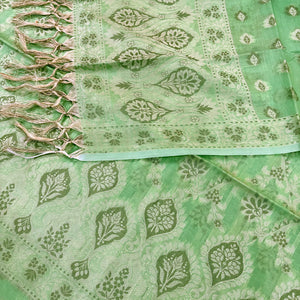Pista Mogambo Jaal Cotton Silk Banarasi Suit