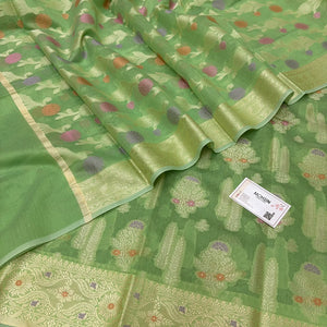 Pista Resham Banarasi Silk Suit