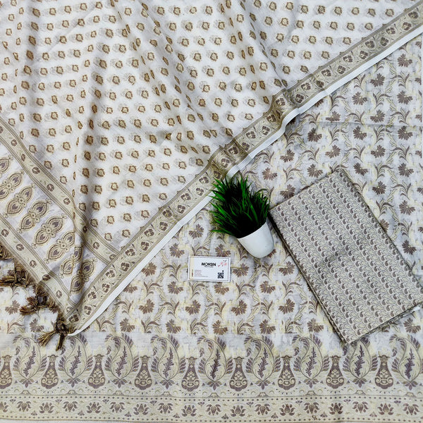 White Surahi Jaal Cotton Silk Banarasi Suit