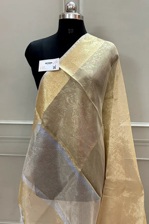 Golden Ambose Tissue Silk Banarasi Saree