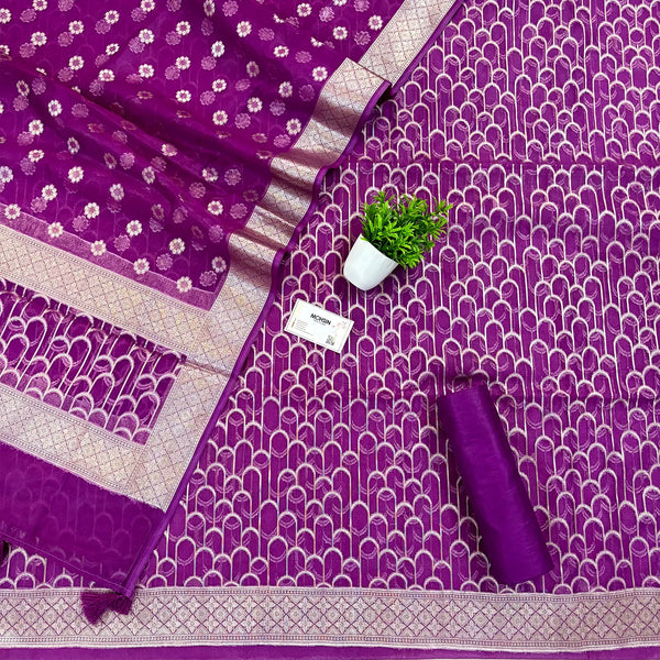 Purple Cactus Jaal Organza Silk Banarasi Suit