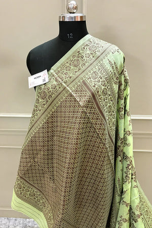 Pista Resham Zari Cotton Silk Banarasi Saree