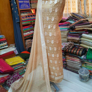 Beige Silver Zari Handloom Georgette Banarasi Suit
