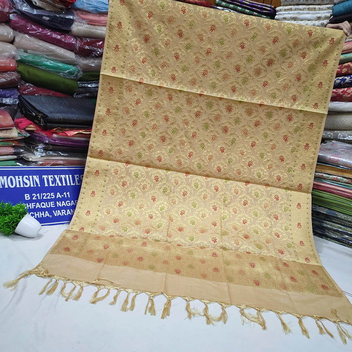 Tasar Meenakri Katan Silk Banarasi Dupatta