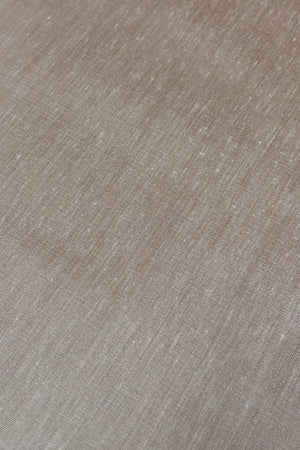 Beige Plain Cotton Silk Banarasi Fabric