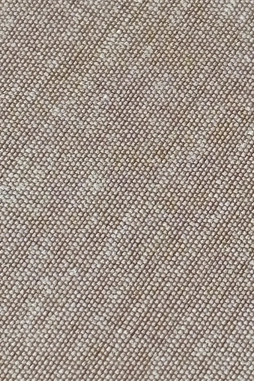 Beige Plain Cotton Silk Banarasi Fabric