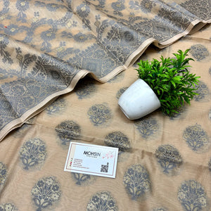 Beige Resham Banarasi Silk Suit