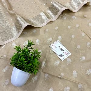 Beige Zari Katan Silk Banarasi Suit